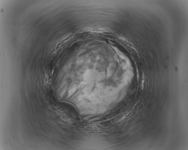 X0000085750966200703301358