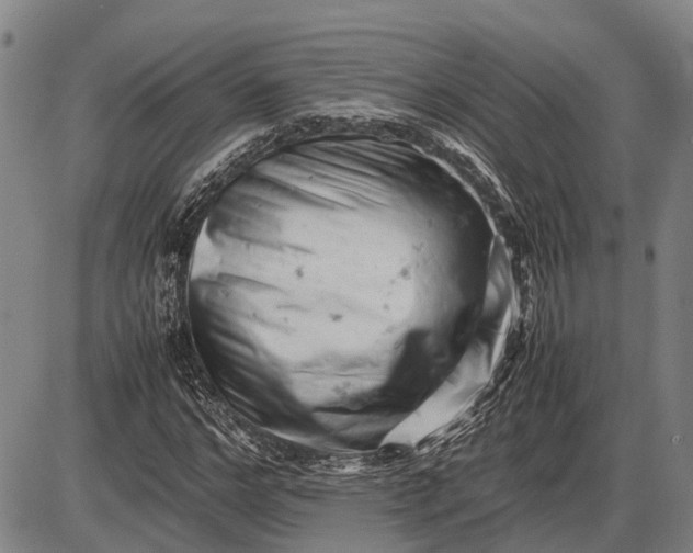 X0000085750968200703301358