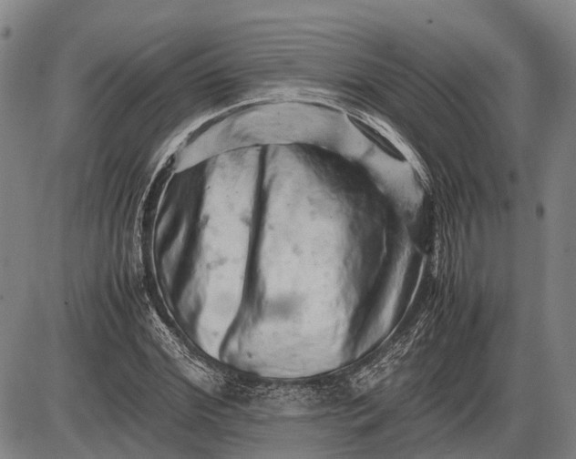 X0000085750972200703301358