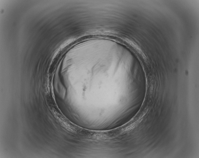 X0000085750974200703301358