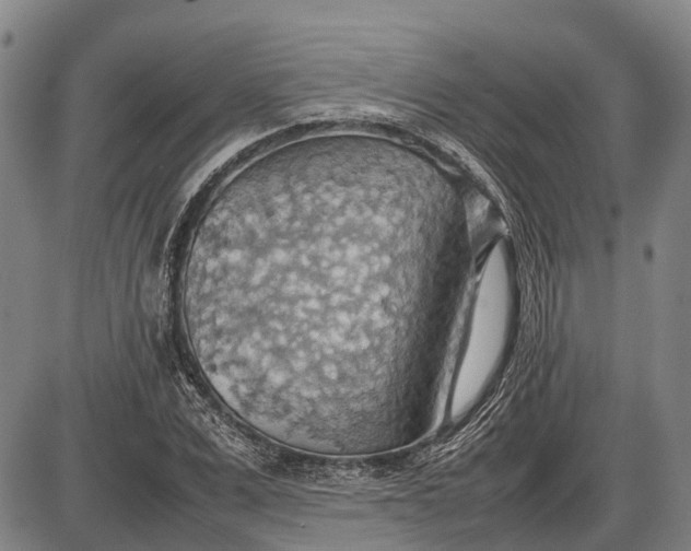 X0000085750975200703301358