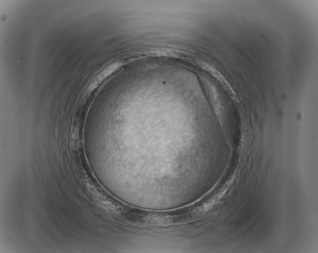 X0000085750977200703301358