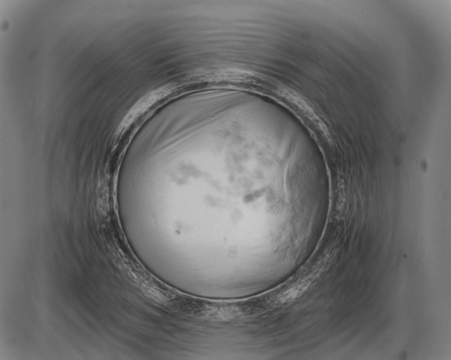 X0000085750978200703301358