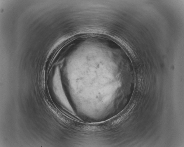 X0000085750982200703301358