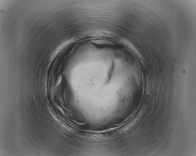 X0000085750986200703301357