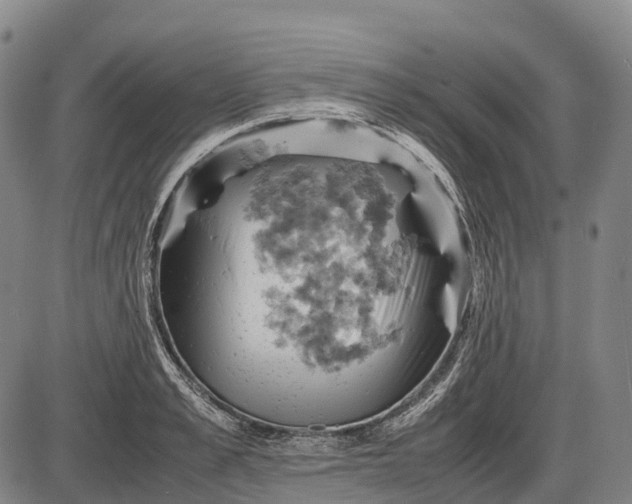 X0000085750989200703301357