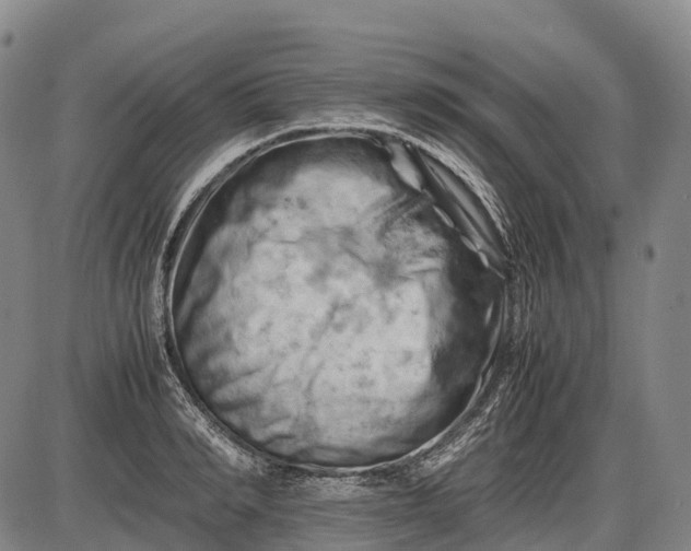 X0000085750990200703301357