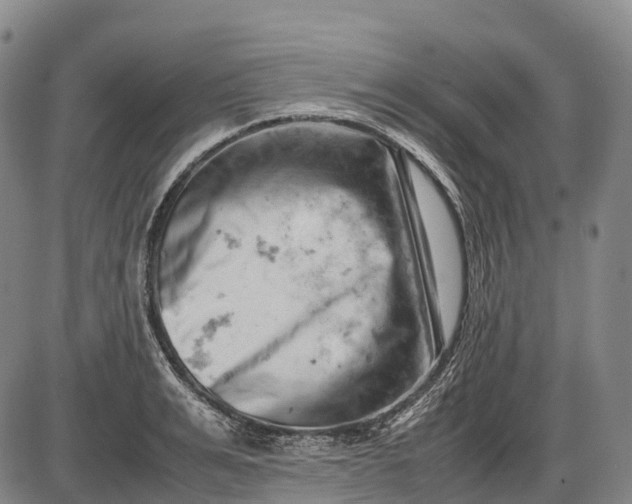 X0000085750991200703301357