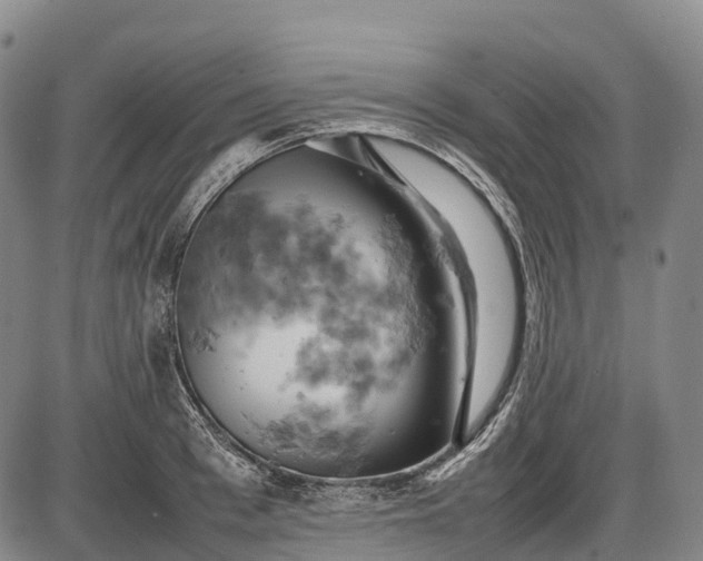 X0000085750993200703301357