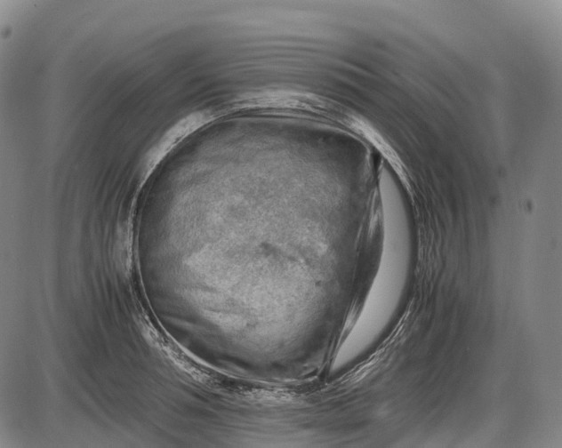 X0000085750994200703301357