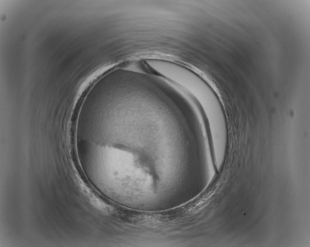 X0000085750995200703301357