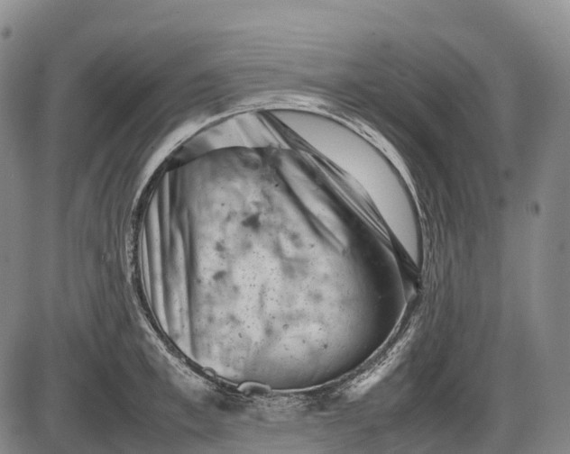 X0000085750997200703301357