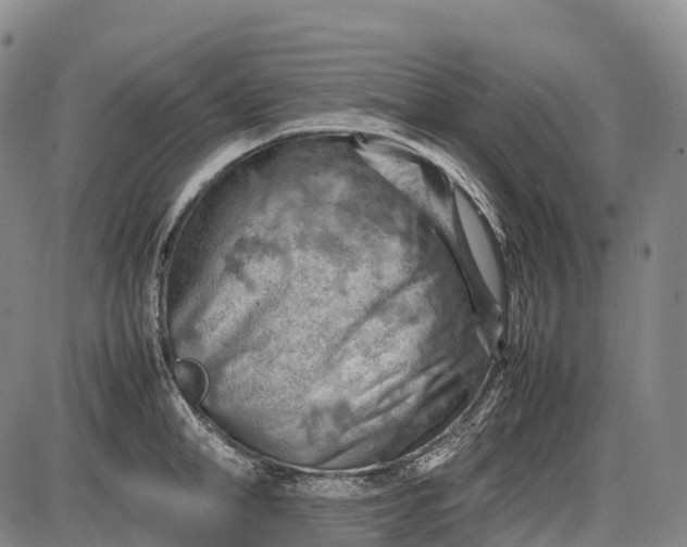 X0000085750998200703301357