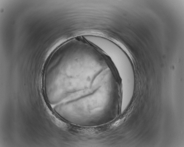 X0000085750999200703301357