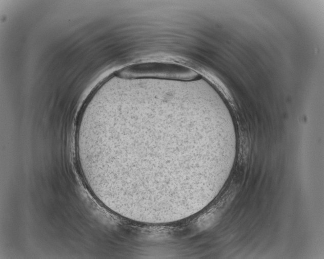 X0000085751000200703301357