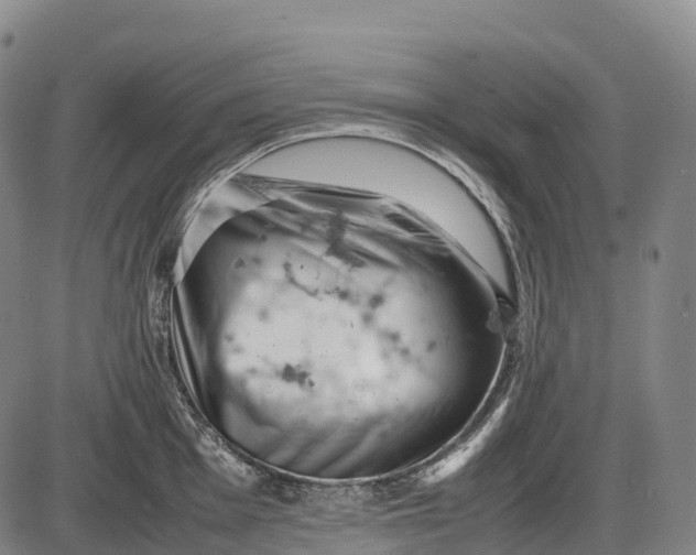 X0000085751001200703301357