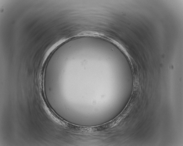 X0000085751003200703301357