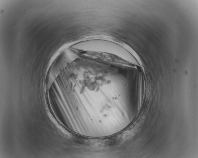 X0000085751005200703301357