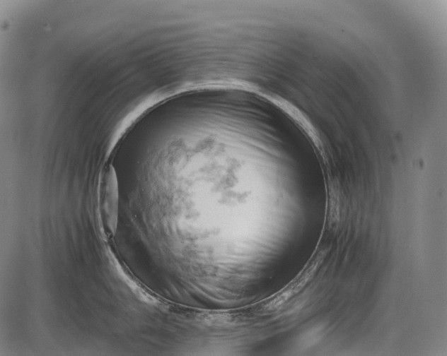 X0000085751006200703301357