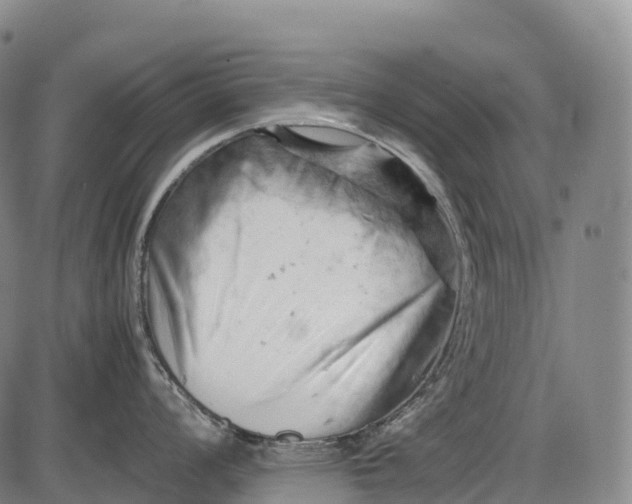 X0000085751008200703301357