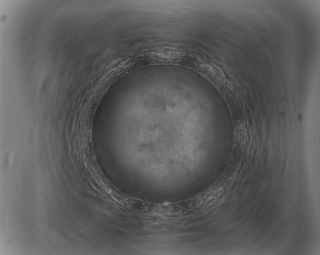 X0000085751009200703301356