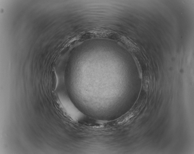 X0000085751010200703301356