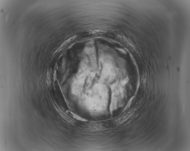 X0000085751012200703301356