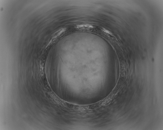 X0000085751013200703301356