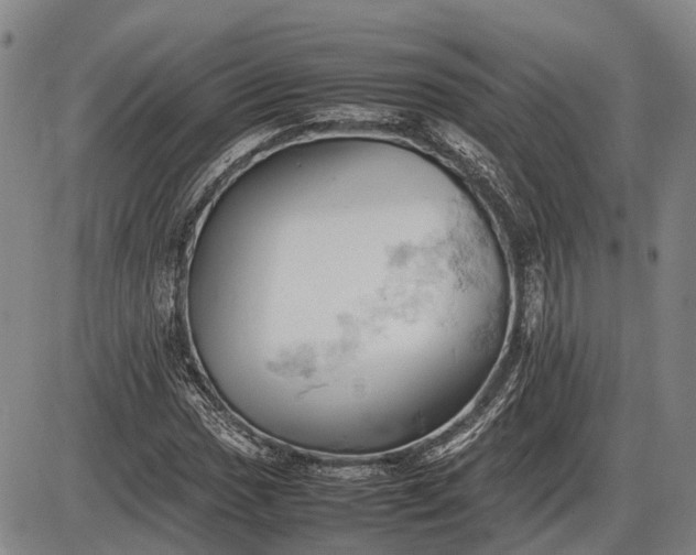 X0000085751017200703301356