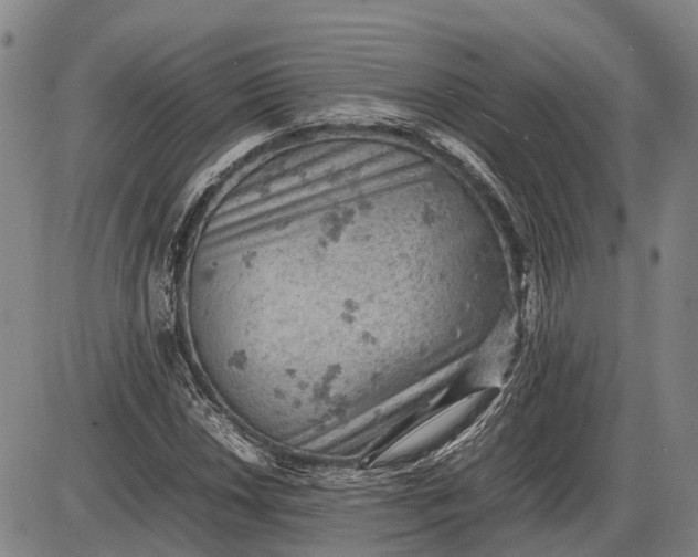 X0000085751018200703301356