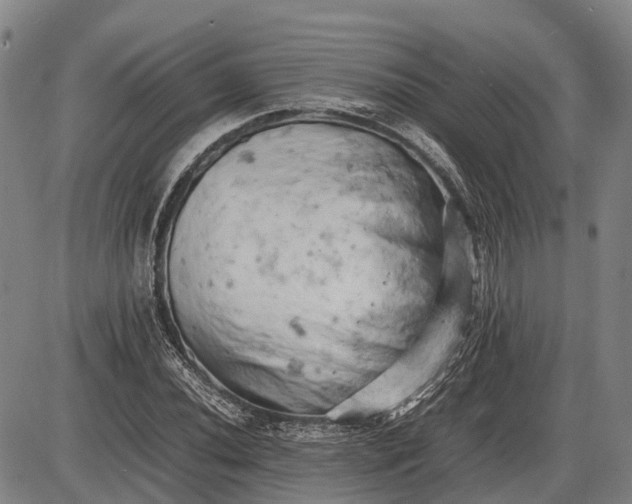 X0000085751020200703301356