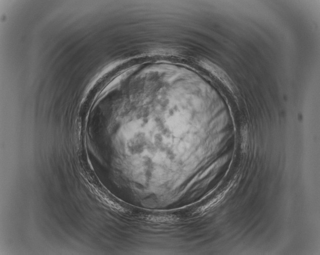 X0000085751021200703301356