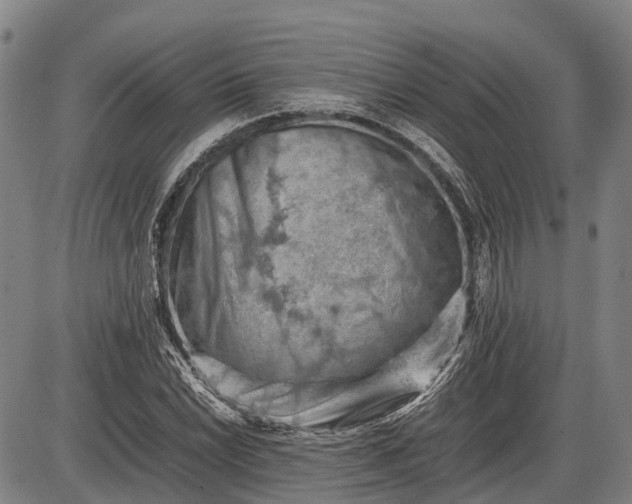 X0000085751022200703301356