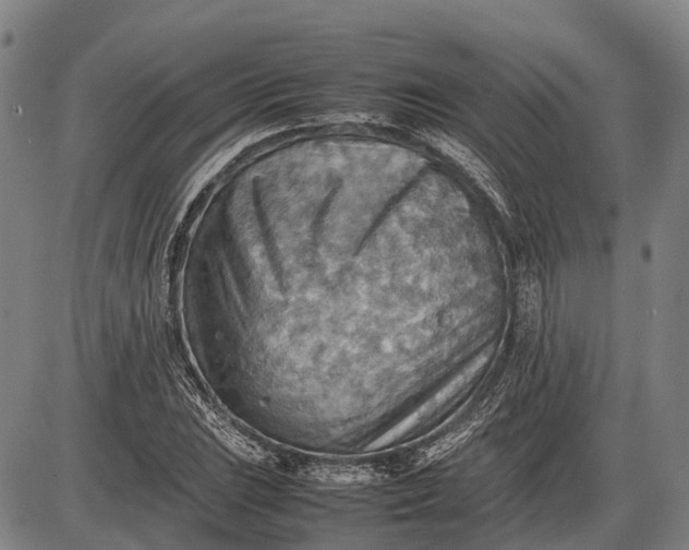 X0000085751023200703301357