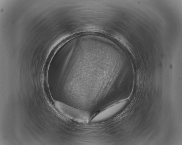 X0000085751024200703301357