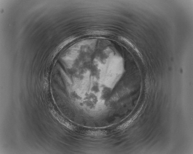 X0000085751025200703301357