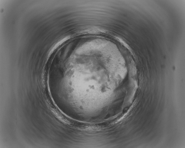 X0000085751026200703301357