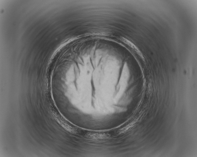 X0000085751027200703301357