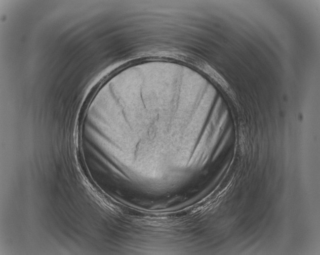 X0000085751028200703301357