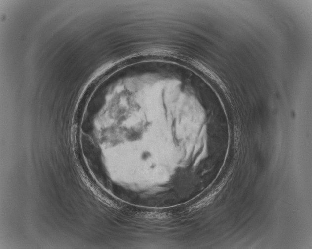 X0000085751029200703301357