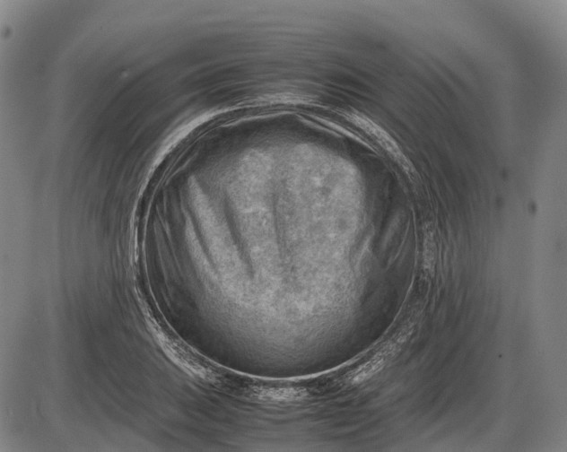 X0000085751031200703301357