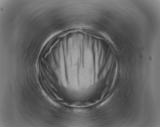 X0000085751032200703301357