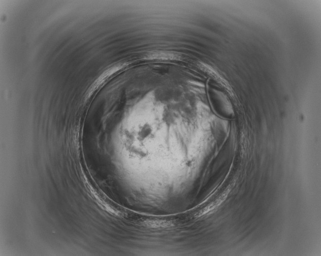 X0000085751033200703301357