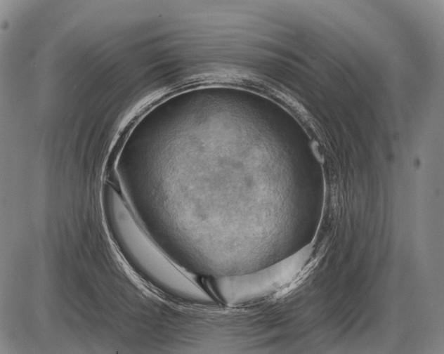 X0000085751034200703301357