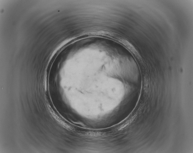 X0000085751036200703301357