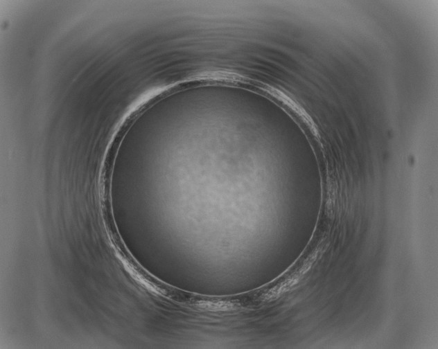 X0000085751037200703301357