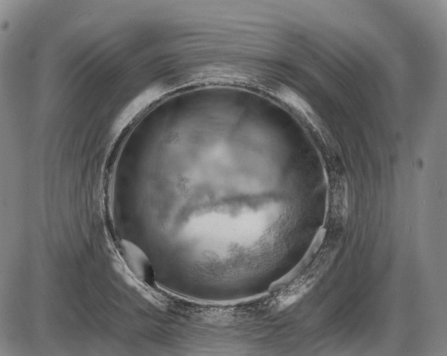 X0000085751038200703301357