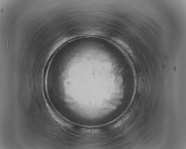 X0000085751039200703301357