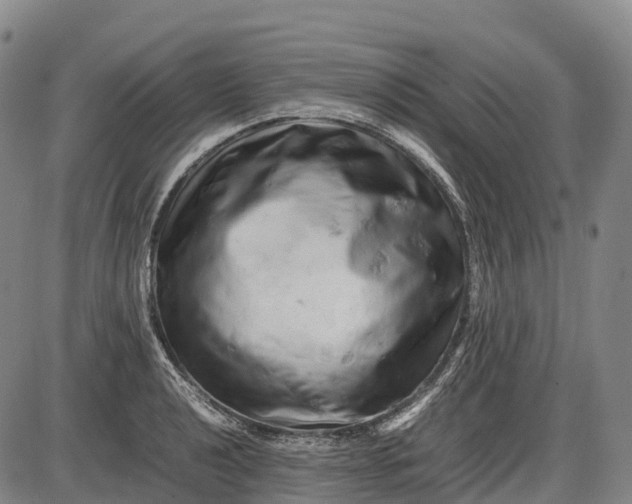 X0000085751040200703301357