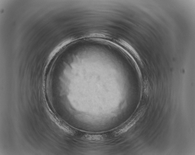 X0000085751043200703301357